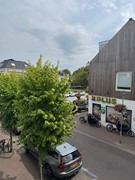 shops around te corner.jpg